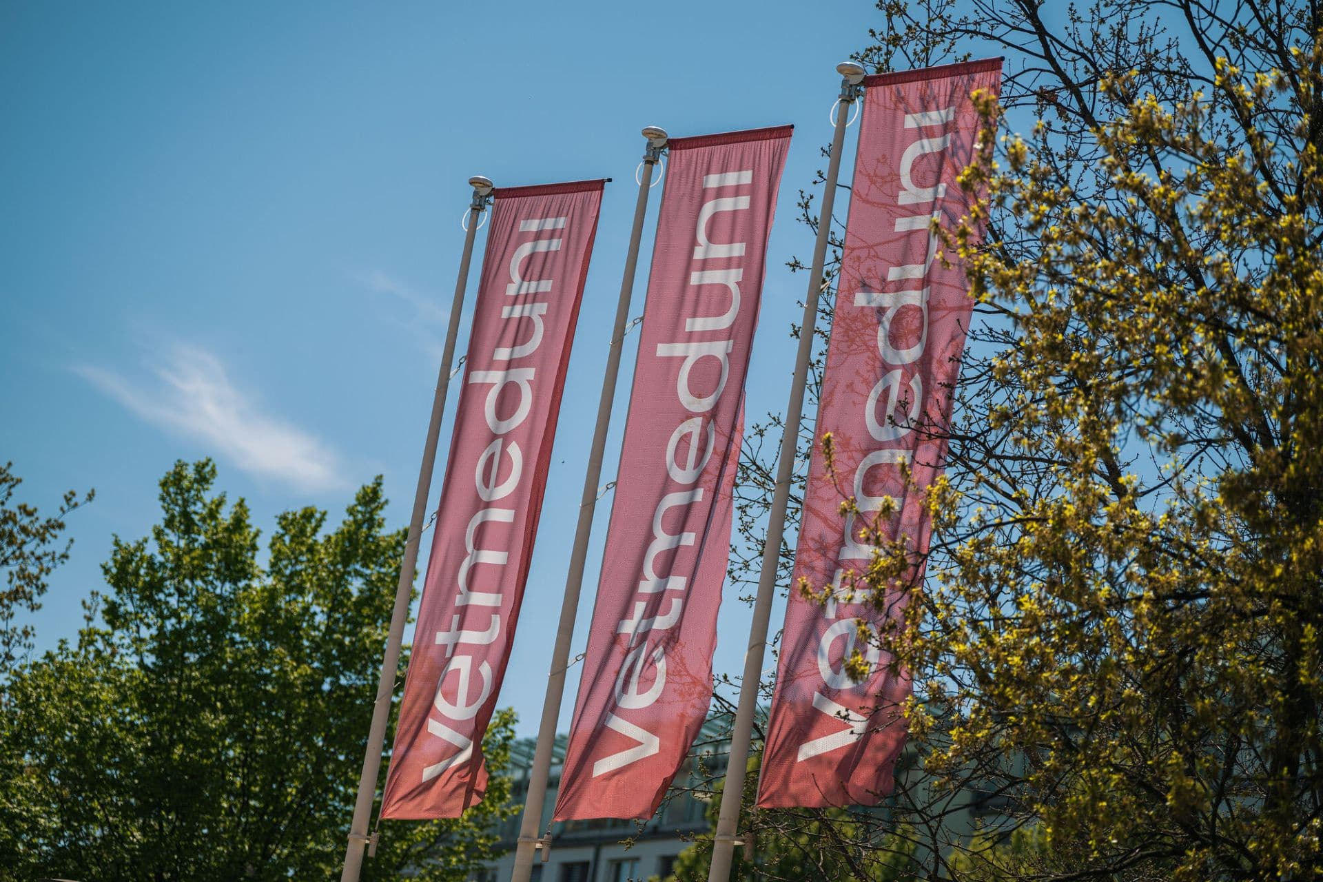 1 Credit Thomas Suchanek Vetmeduni